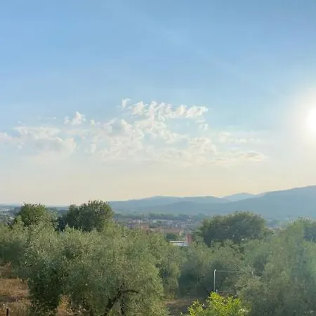 La Collina Degli Ulivi *