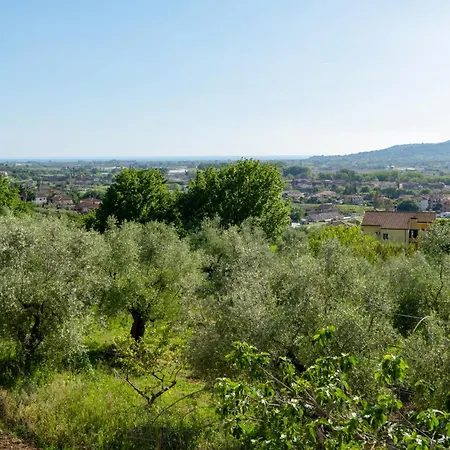 La Collina Degli Ulivi Apartamento *
