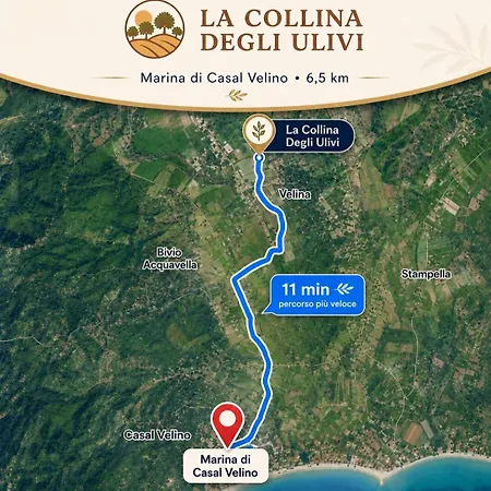 La Collina Degli Ulivi * Castelnuovo Cilento