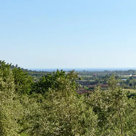 Apartamento La Collina Degli Ulivi Castelnuovo Cilento