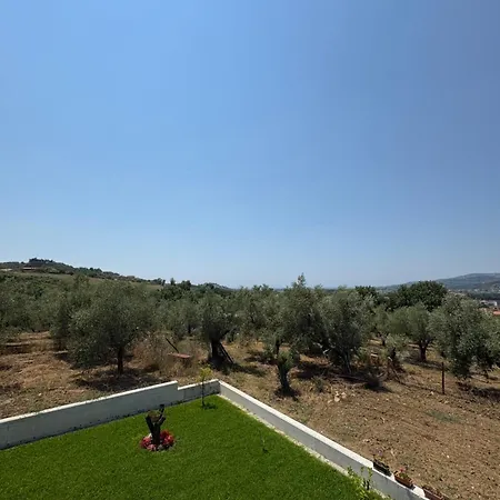 La Collina Degli Ulivi