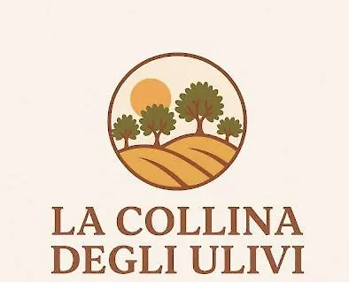 La Collina Degli Ulivi * Castelnuovo Cilento